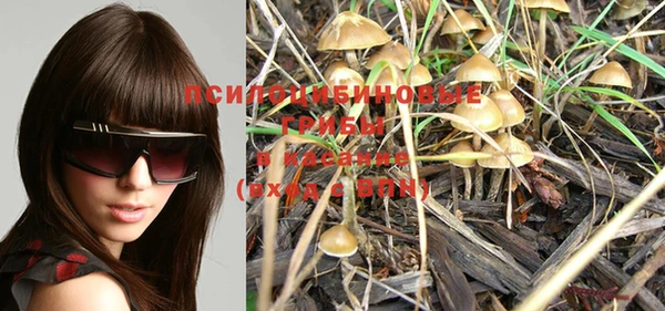 PSILOCYBIN Баксан