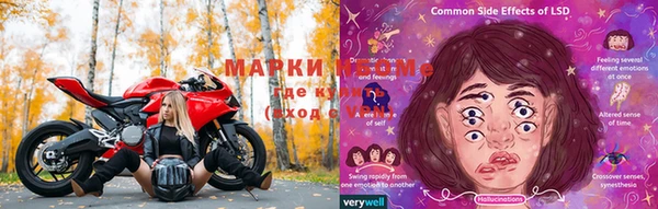 PSILOCYBIN Баксан