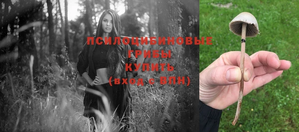 стафф Балабаново