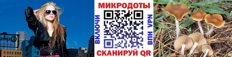 Псилоцибиновые грибы прущие грибы  Нижняя Тура 
